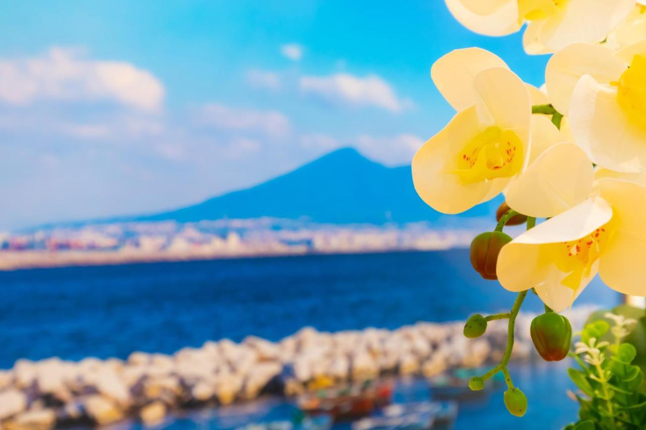 Le Meraviglie Di Napoli Luaran gambar